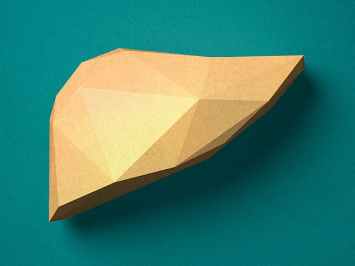 Brown Geometric paper liver on teal background