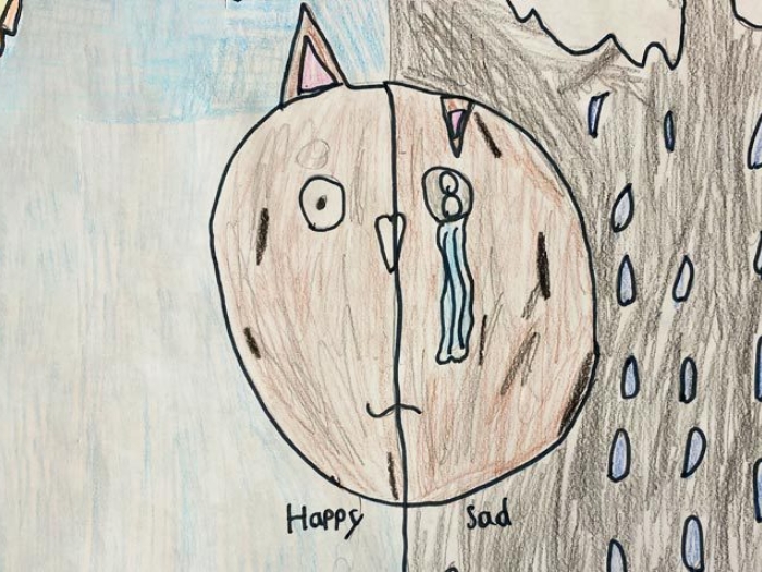 drawing by child with cat happy on one side and cat sad on other in rain