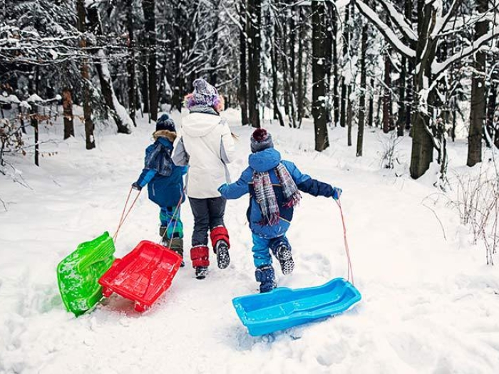children running in woods with sleds behind them in green red and blue