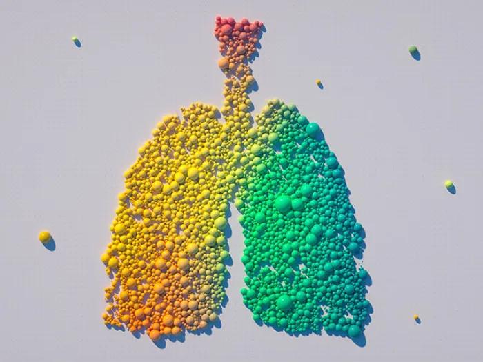 colorful rainbow circles marbles lungs
