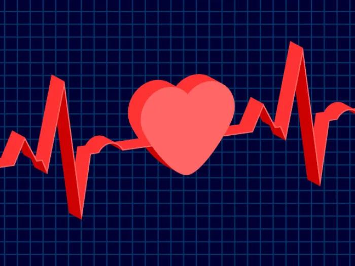heart