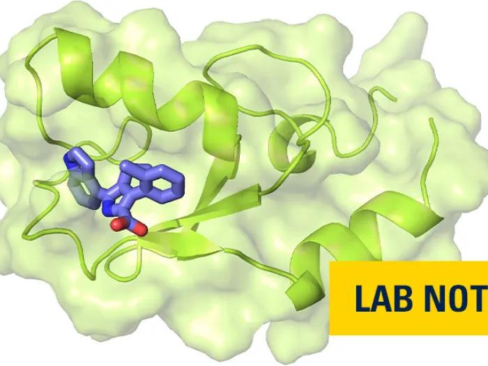lime green structure with purple in left middle and lab note badge in navy and yellow in bottom right