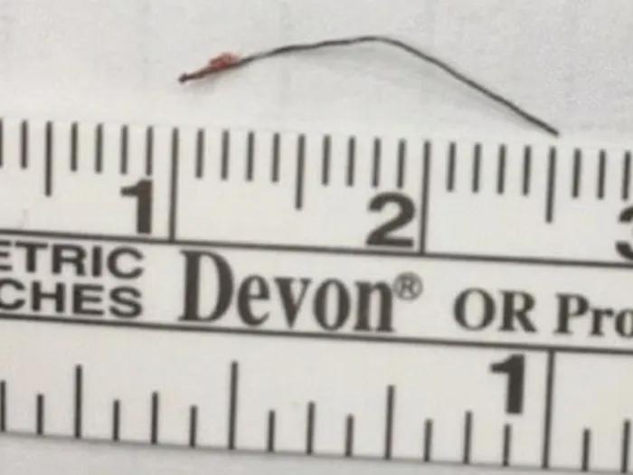 Ruler