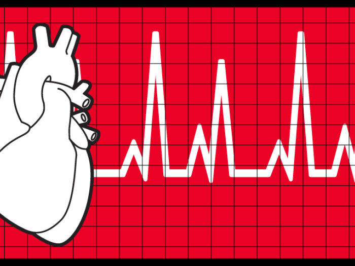 heart ekg pulse line screen 