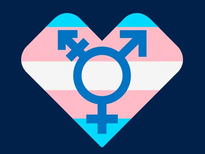 heart transgender flag gender symbol
