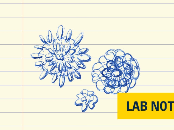 bacteria viruses drawn in blue ink on lined paper with yellow badge with words &quot;lab note&quot; in blue