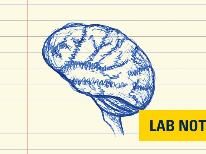 drawing of brain in blue ink with yellow badge that says lab note in blue ink