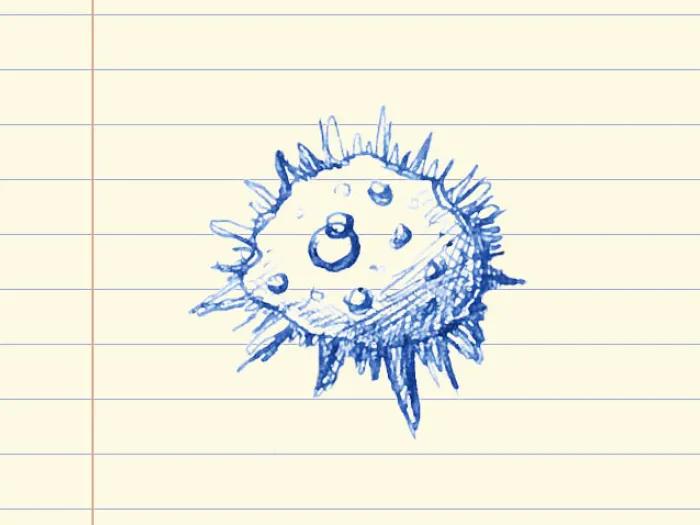 Cancer cell