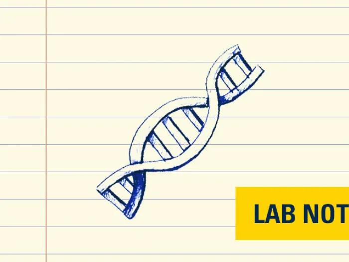 image of drawing of gene in blue ink on lined paper with lab note written on bottom right