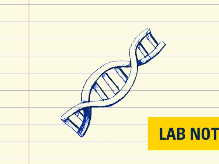 drawing of a DNA strand in yellow badge that says lab note