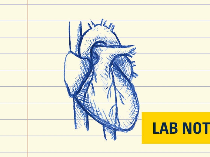 drawing in blue ink on notepad of a heart with lab note written bottom right in yellow and blue