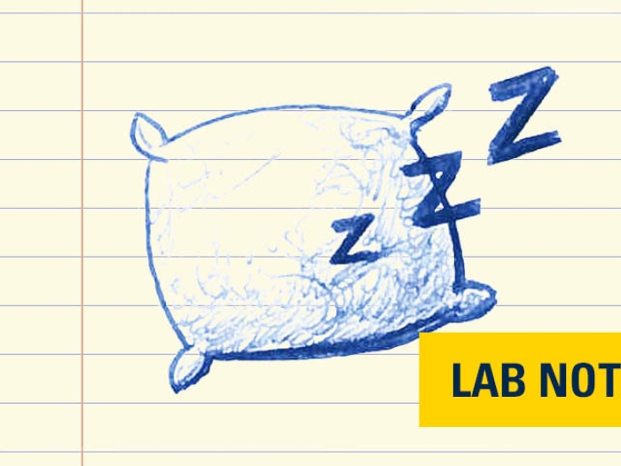 pillow drawn in blue ink on lined paper with yellow and navy font badge saying &quot;lab note&quot; on bottom right