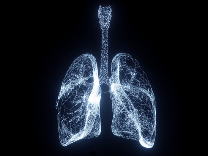 lungs glowing white wire black background