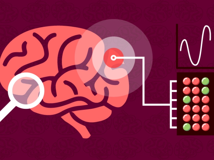 Brain