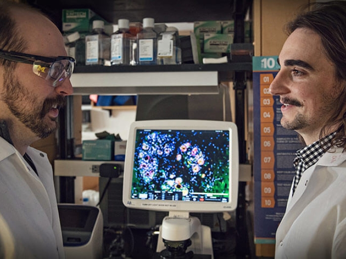Men scientists facing each other in front of lab screen