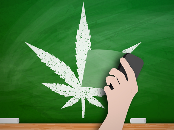 Marijuana leaf drawn on chalk on a blackboard