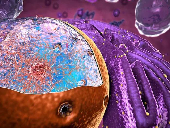 Microscopic-Cell-Nucleus-Proteins-Render