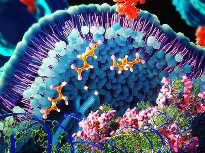 colorful microscopic amino acid cells