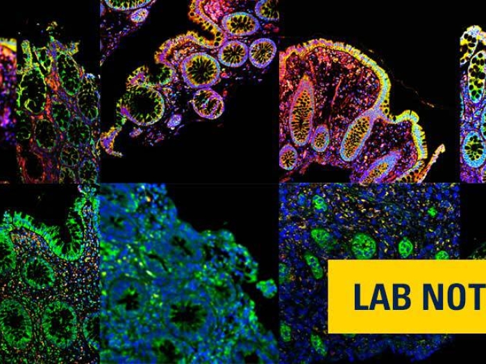 microscopic colorful rainbow cells black background and yellow badge on bottom right and blue lettering saying lab notes
