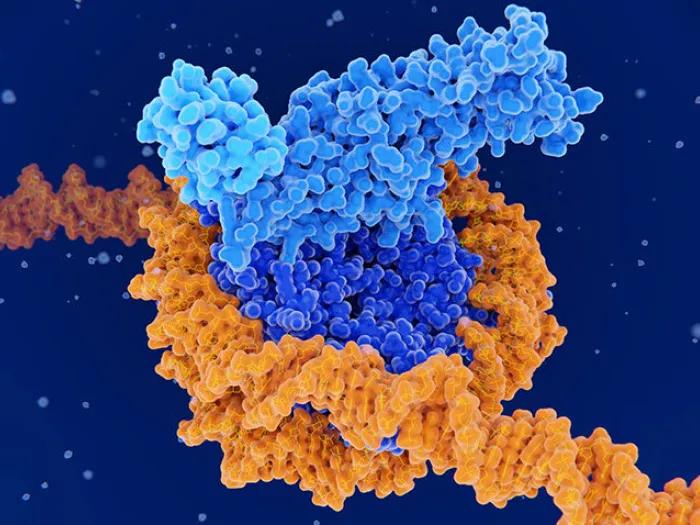 molecule protein microscopic blue orange