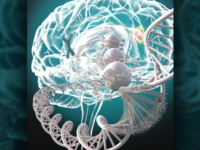 Brain graphic