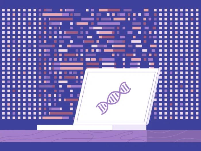 Purple Colored Data With Laptop