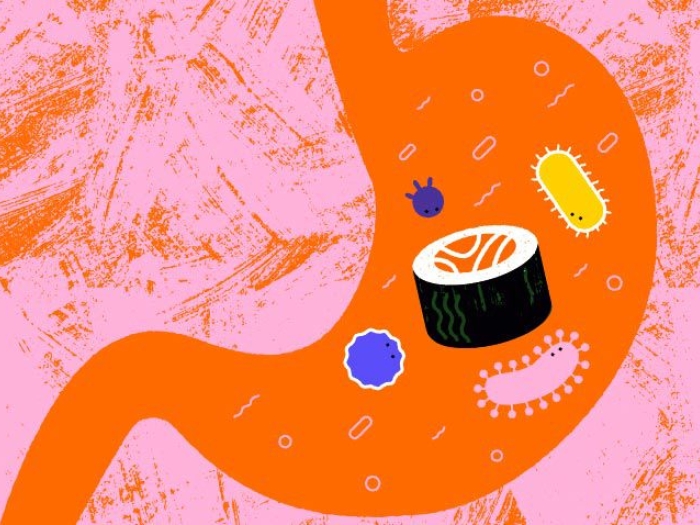 stomach with sushi inside with gut microbiome