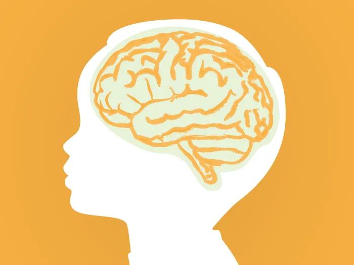 Silhouette of a child's head and brain