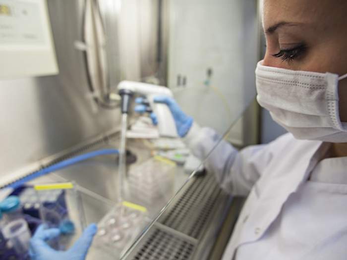 Scientist in a lab with EGFL6-blocking antibodies