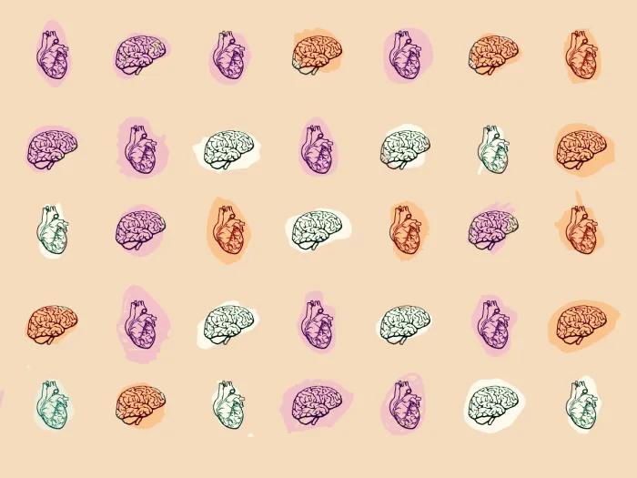 Graphic of heart and lungs depicting sudden unexpected death in epilepsy