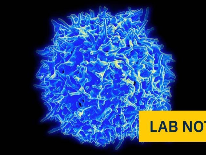 blue cell with yellow badge saying lab note