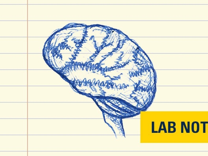 brain sketch in blue ink