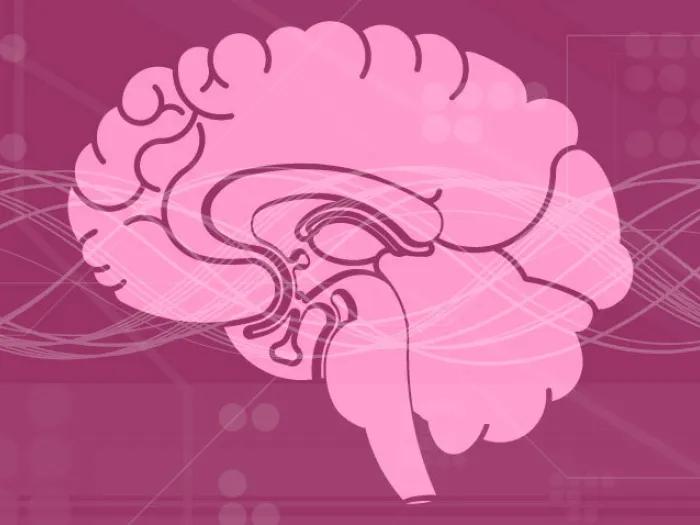 drawing of a pink brain on a dark pink background