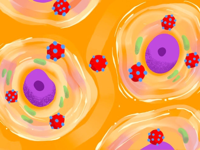 cancer cell nucleus virus orange pink