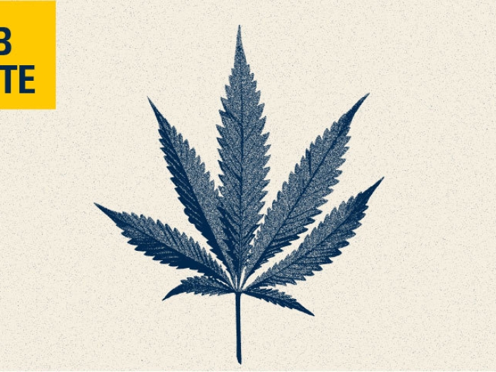 cannabis drawing lab note