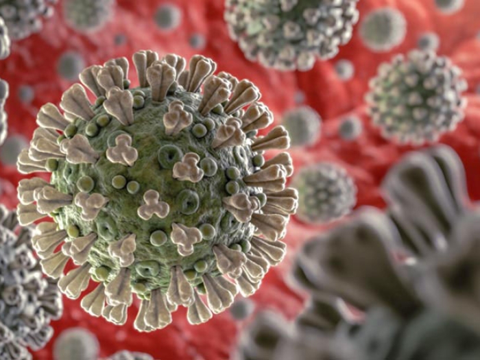 Coronavirus
