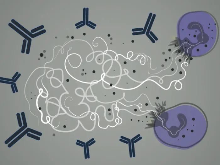 grey background with proteins and blood circulating in nacy and purple with white scribble in middle