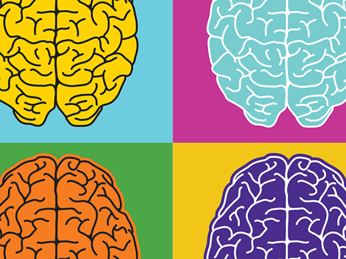 Graphic of four brains, each a different color (yellow, orange, blue, purple)