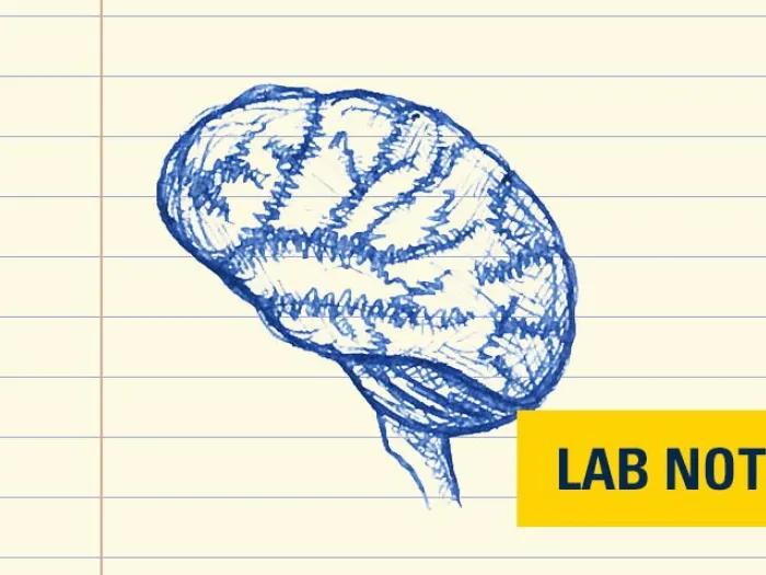 drawing of brain in blue ink with lab note badge in yellow bottom right