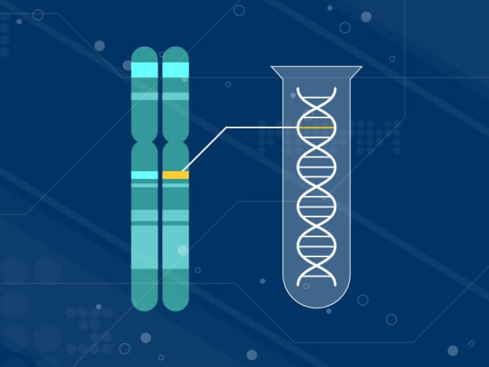 genetic testing DNA chromosomes in blue