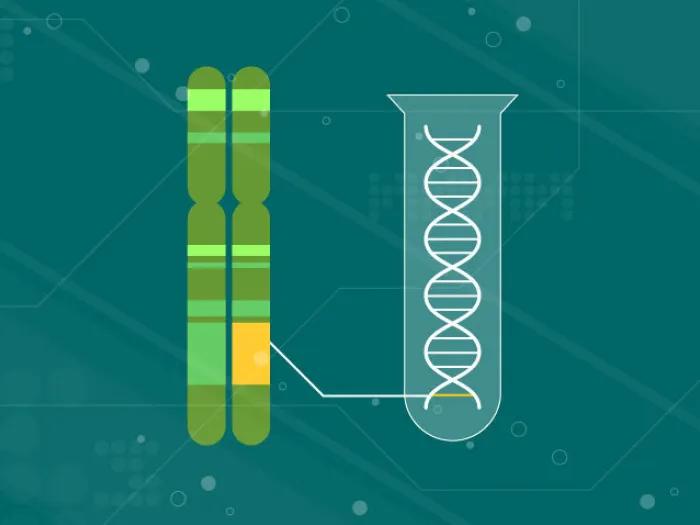 graphic drawing of chromosome on black background