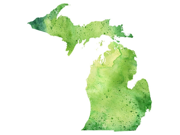 drawing of grass green state of michigan
