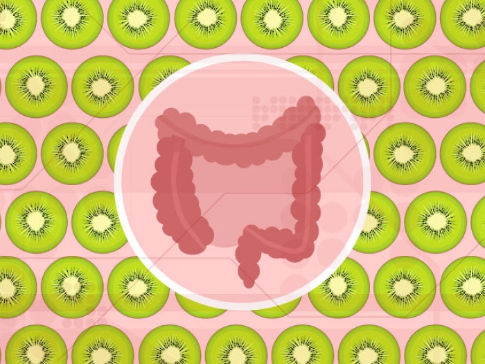 green kiwis with picture of pink stomach bowels in middle