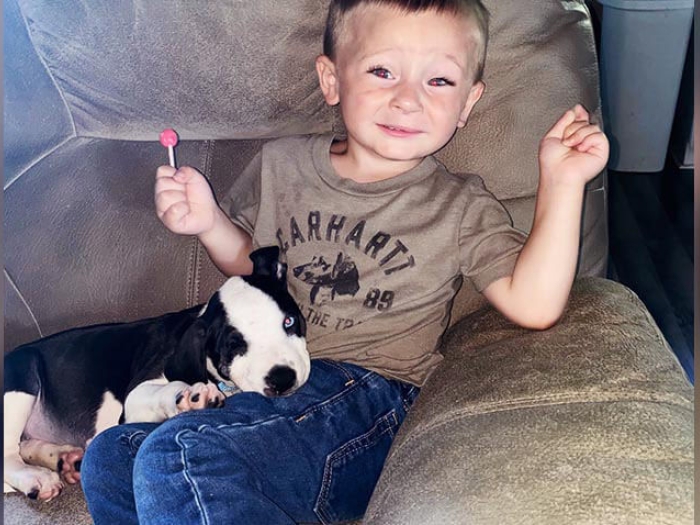 Little boy with puppy on couch