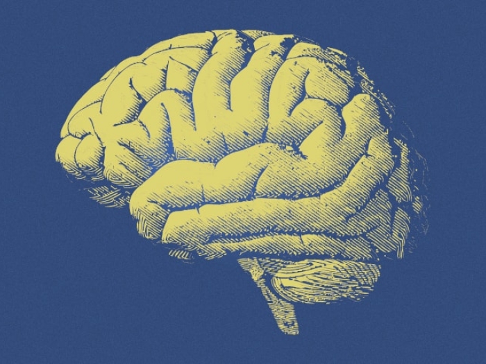 picture of brain on navy background