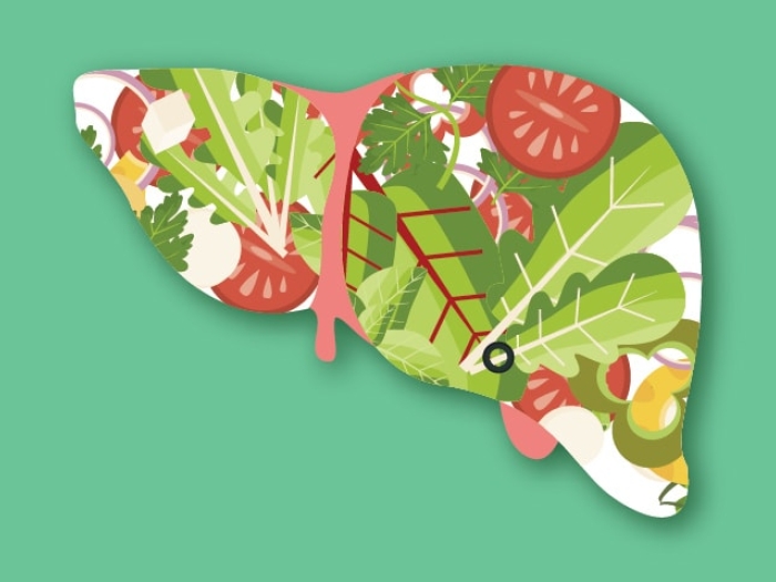 healthy-liver-illustration
