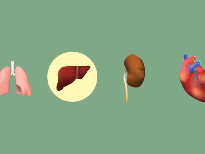 donor-organs