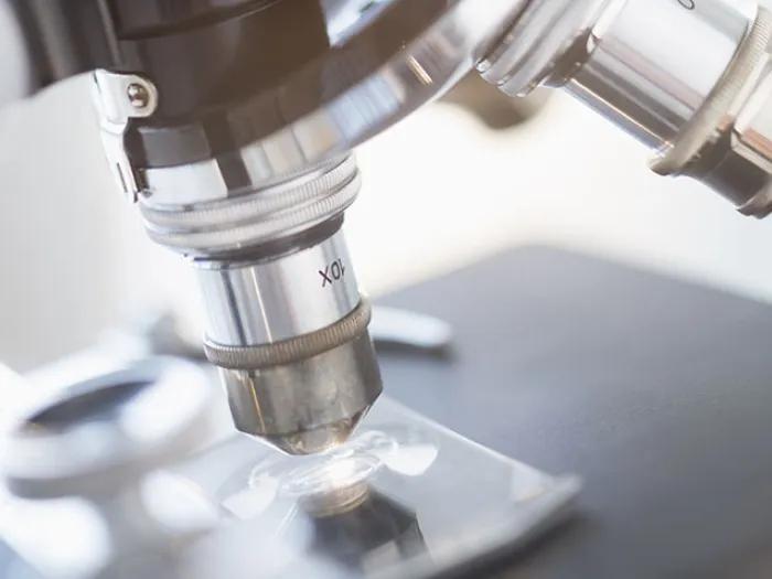 Microscope