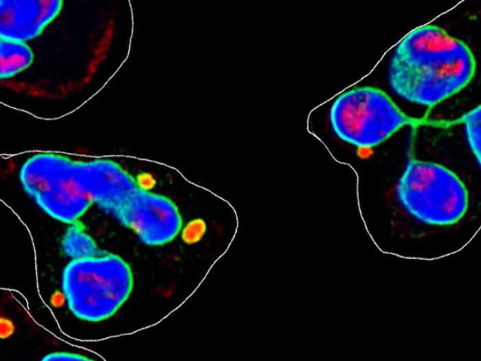 nuclear cells in green blue red black background