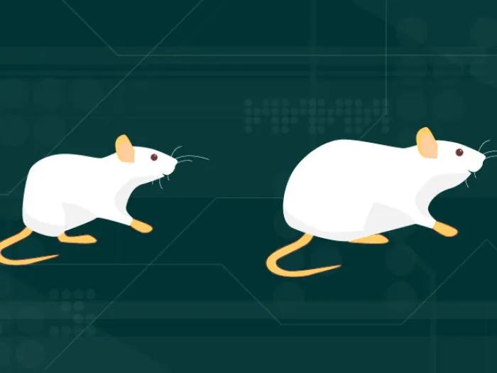 green background with white mice on it